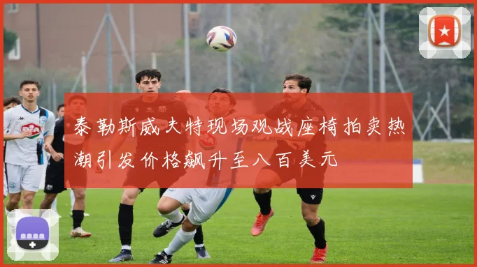 泰勒斯威夫特现场观战座椅拍卖热潮引发价格飙升至八百美元